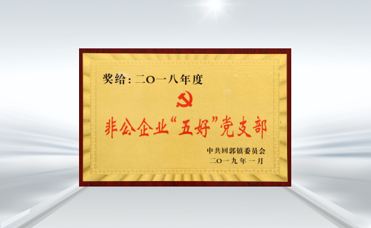 回郭鎮非公企業五好黨支部